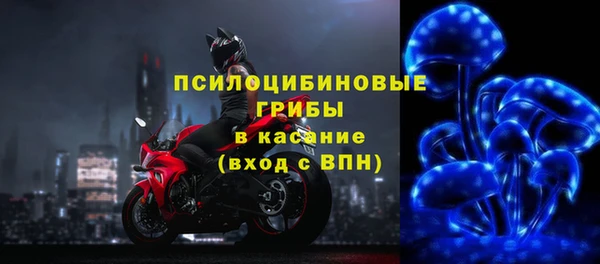 прущие грибы Касимов