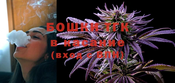 прущие грибы Касимов