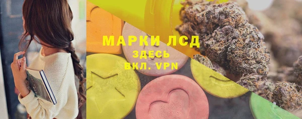 прущие грибы Касимов