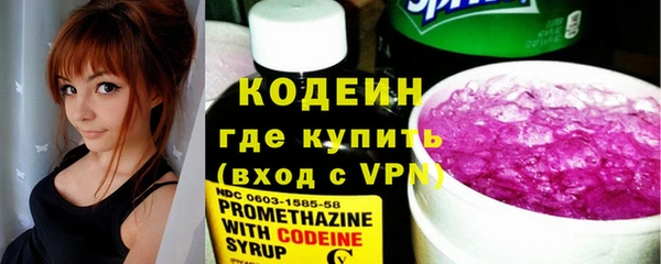 прущие грибы Касимов