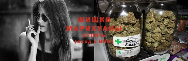 прущие грибы Касимов